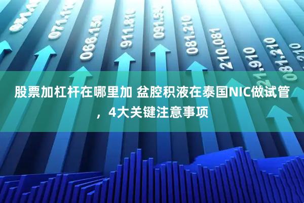 股票加杠杆在哪里加 盆腔积液在泰国NIC做试管，4大关键注意事项